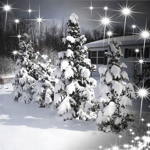 Meet your Posher, Barb